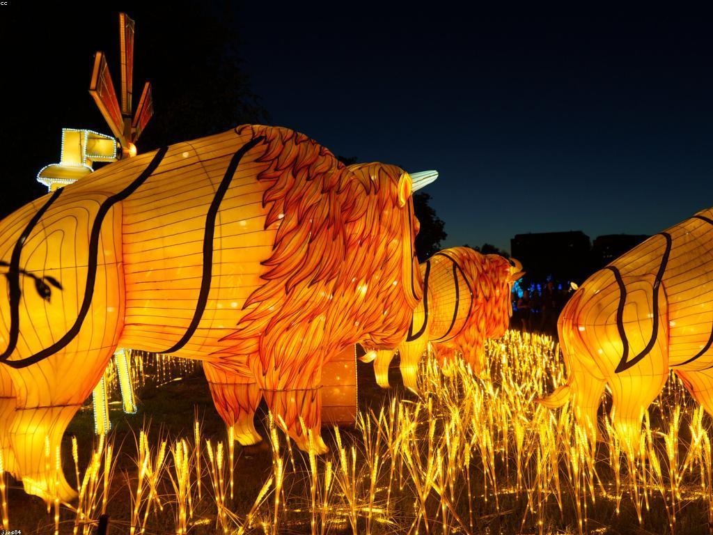 សកម្មភាព និងព្រឹត្តិការណ៍: ការស្រាវជ្រាវអំពីសកម្មភាពទូទៅនិងការអភិវឌ្ឍន៍