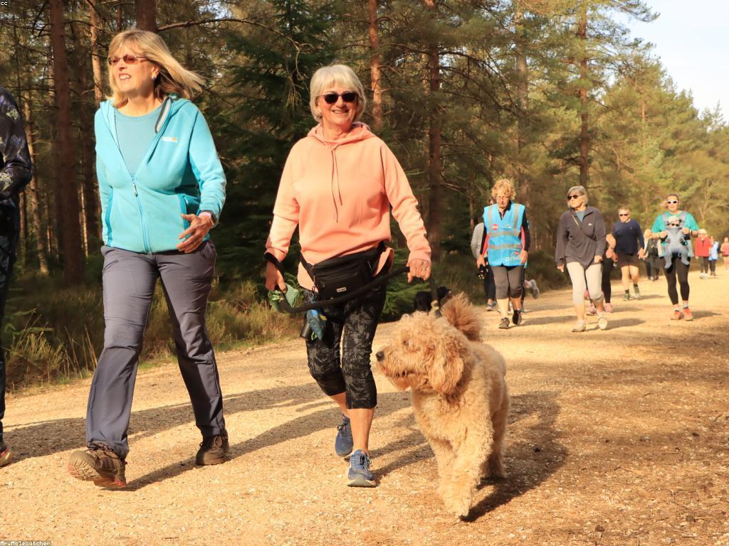 សារៈសំខាន់នៃការចូលរួមក្នុងសកម្មភាពនិងព្រឹត្តិការណ៍